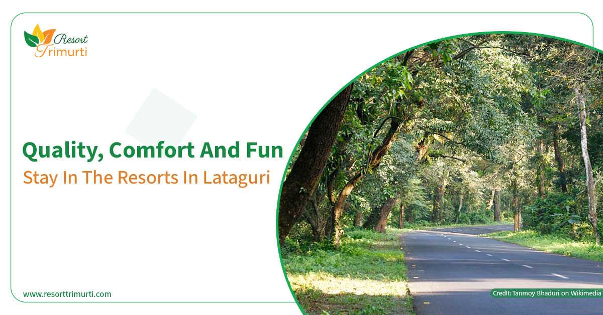 Quality, Comfort, and Fun - Stay in the resorts in Lataguri