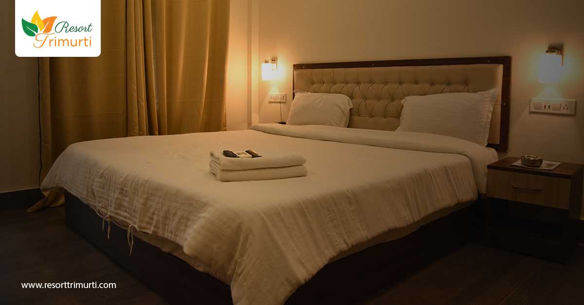 Gorumara Forest Safari- Be a Part of Wildlife Adventure in the Lap of Nature