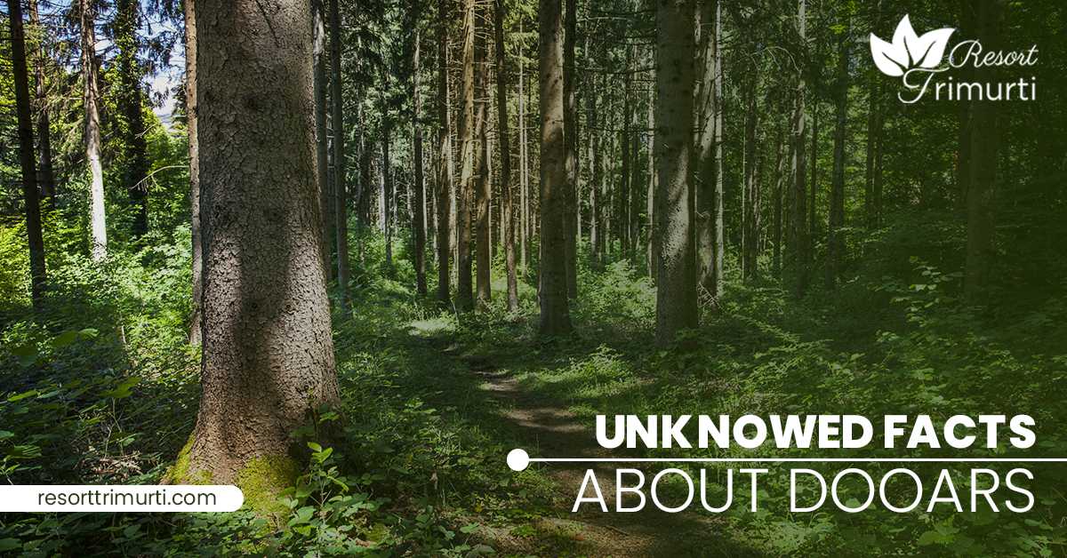 The Unknown Facts about Dooars