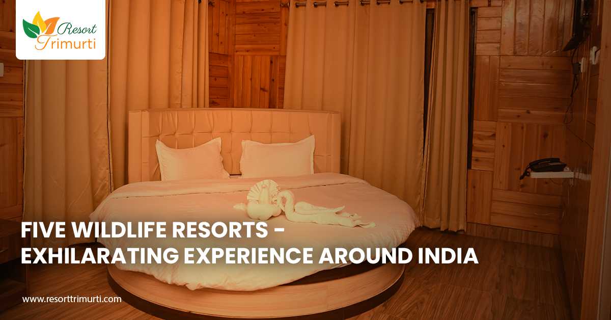 Five wildlife resorts - exhilarating experience around India