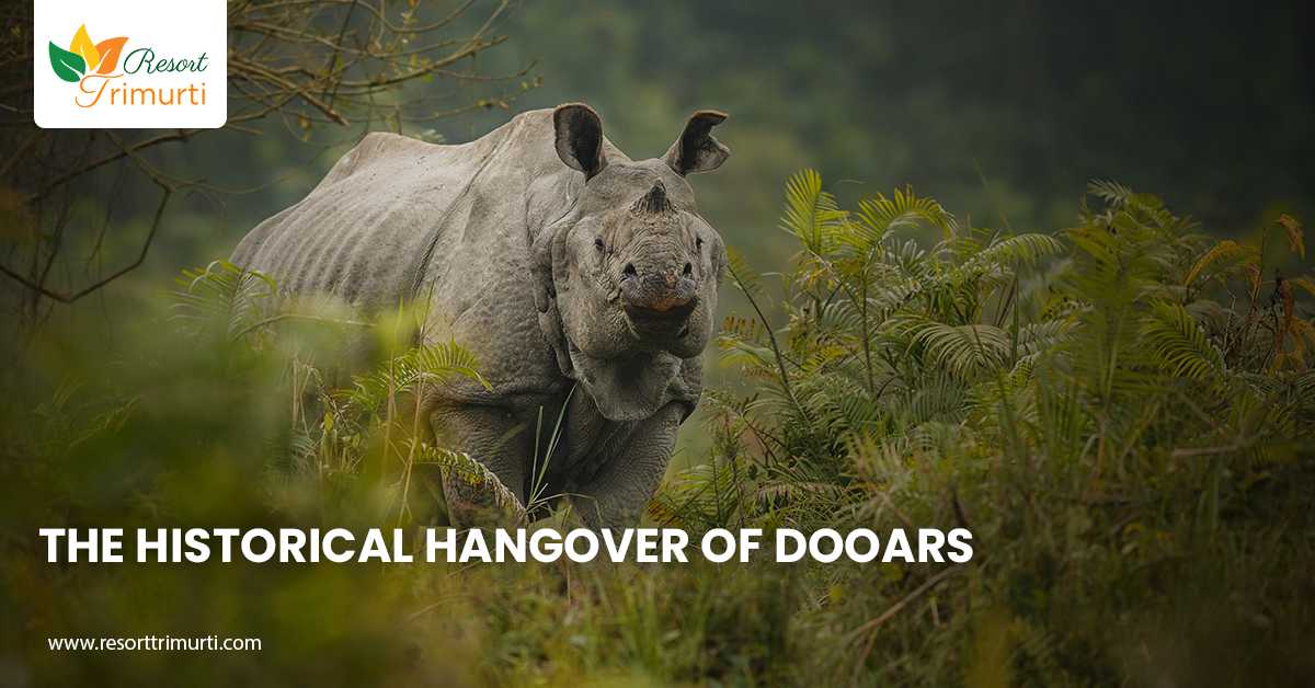 The Historical Hangover of Dooars