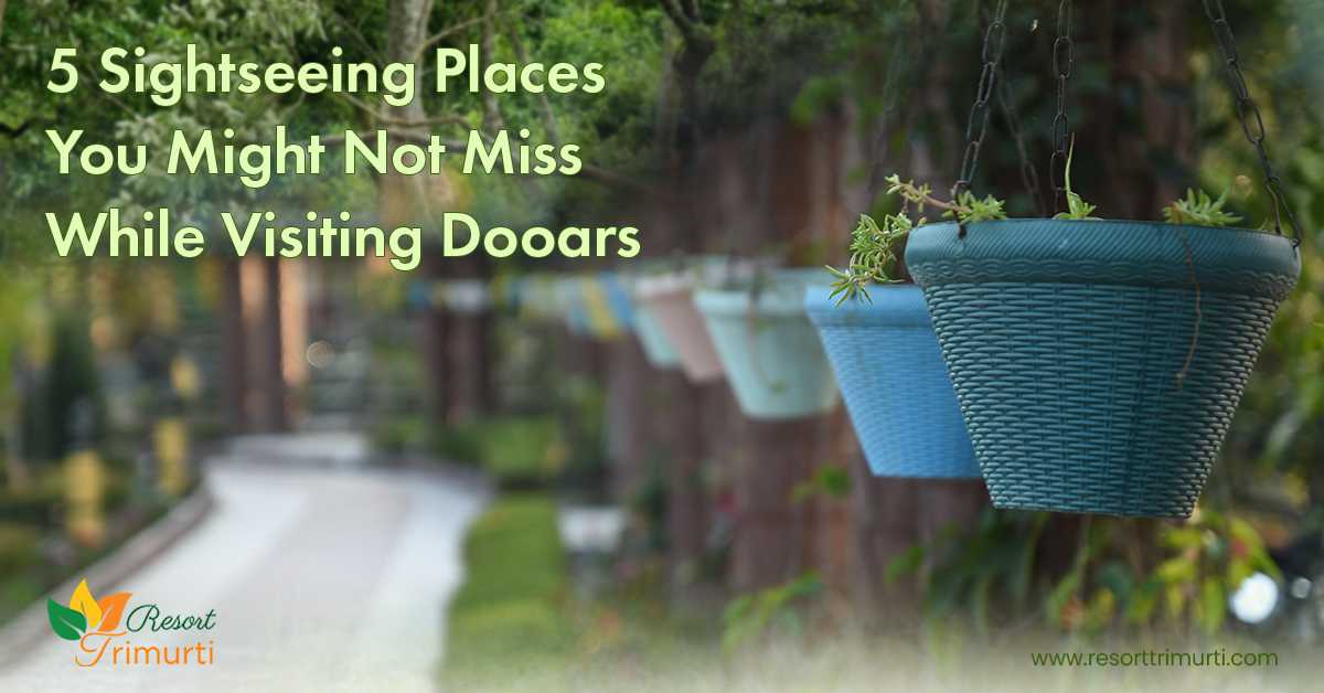 5 Sightseeing Places You Might Not Miss While Visiting Dooars