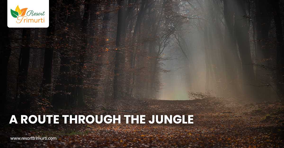 A Route Through the Jungle