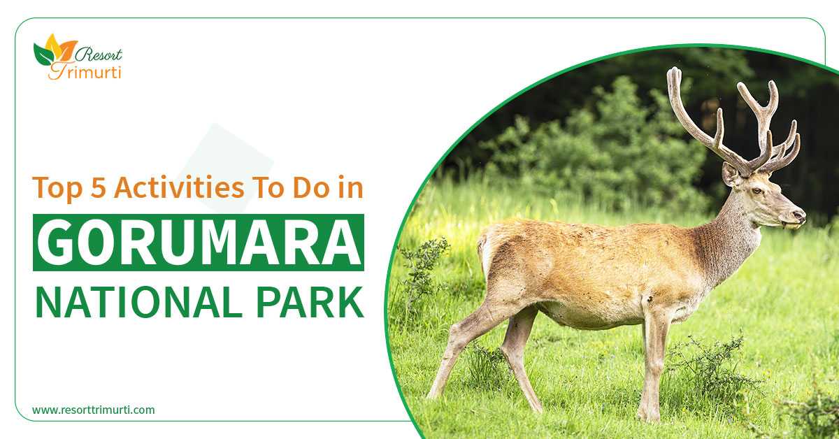 Top 5 Activities To Do In Gorumara National Park