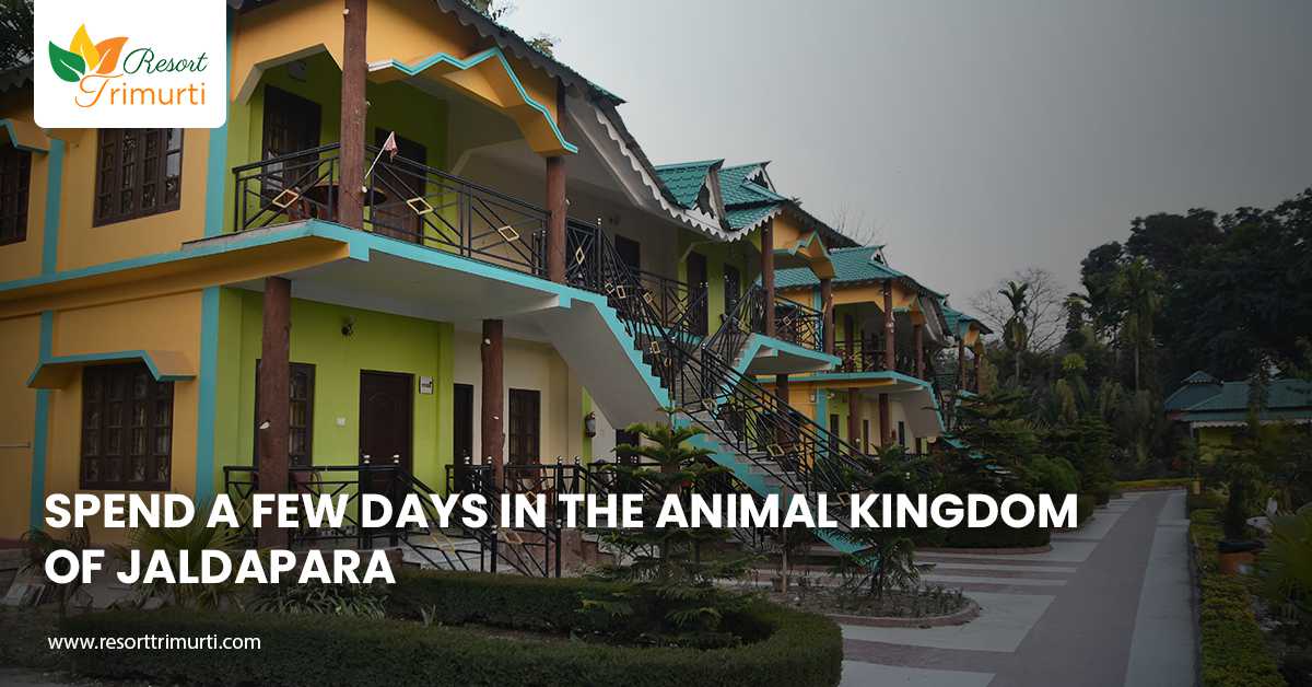 Spend a Few Days in the Animal Kingdom of Jaldapara