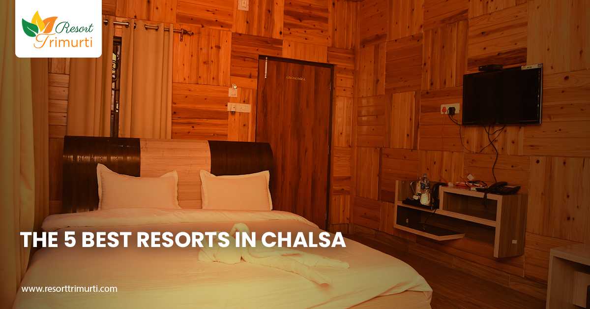 The 5 Best Resorts in Chalsa